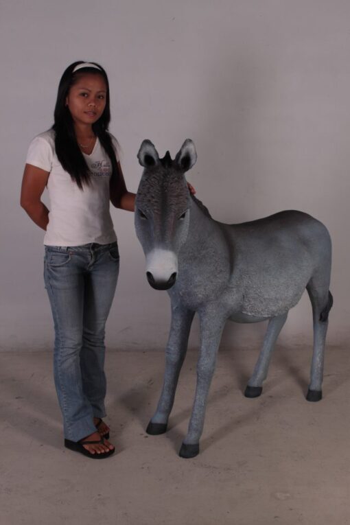 DONKEY -JR 080044 - Image 3