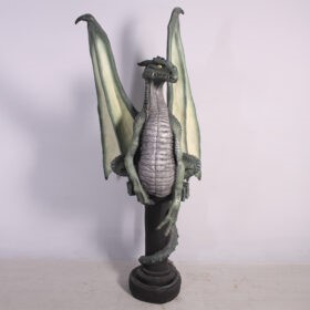DRAGON 7FT JR 080081