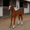 120043 - foal