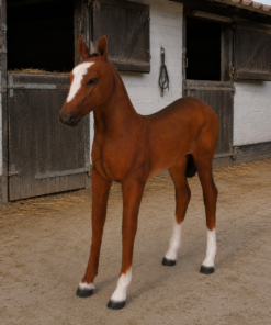 120043 - foal