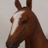 120043 - foal