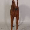 120043 - foal