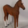 120043 - foal