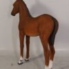 120043 - foal