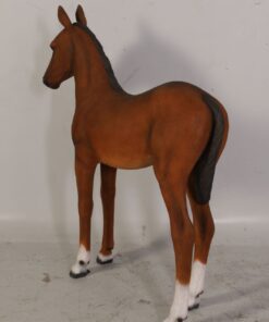 120043 - foal