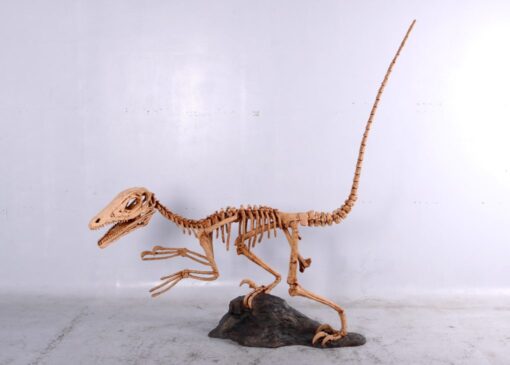 DEINONYCHUS SKELETON JR 140026 - Image 2