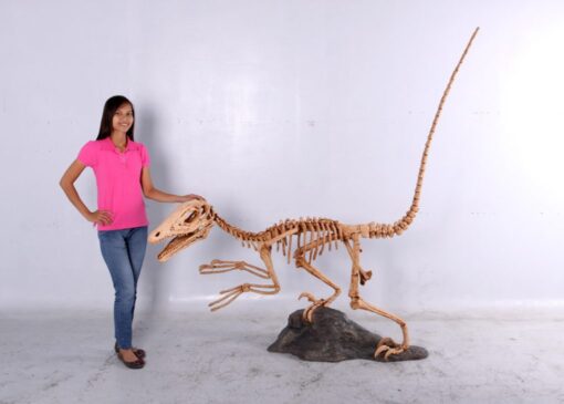 DEINONYCHUS SKELETON JR 140026