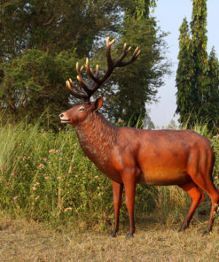 Majestic Red Deer Stag | JR 140044
