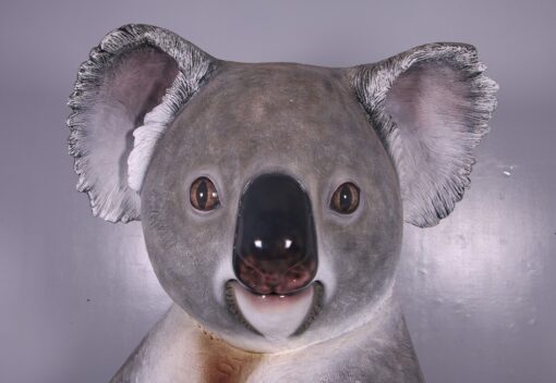 CUDDLE THE KOALA WITH SIGN BOARD JR 150023 - Image 4