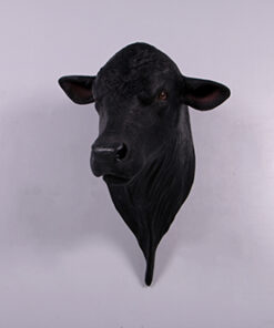 Angus Bull Shoulder Mount | JR 150382