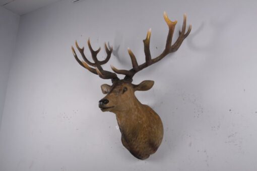 GRAND STAG HEAD JR 170216 - Image 8