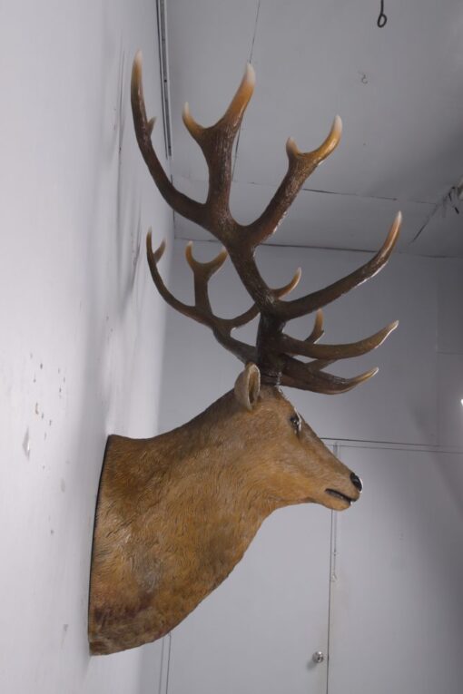 GRAND STAG HEAD JR 170216 - Image 4