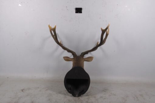 GRAND STAG HEAD JR 170216 - Image 3