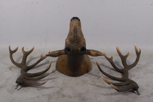 GRAND STAG HEAD JR 170216 - Image 9