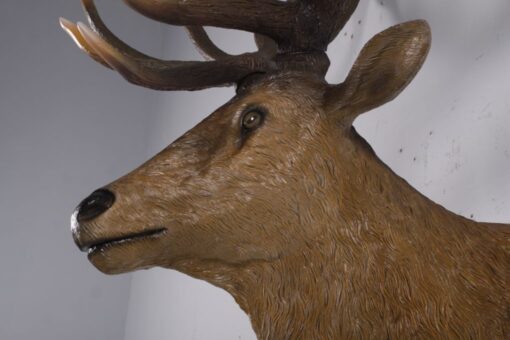 GRAND STAG HEAD JR 170216 - Image 6