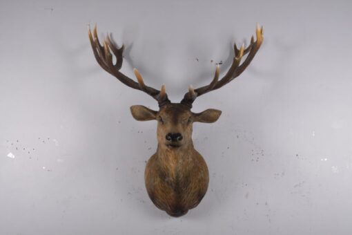 GRAND STAG HEAD JR 170216