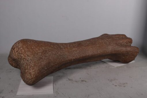 TITANOSAUR FEMUR JR 180007 - Image 7