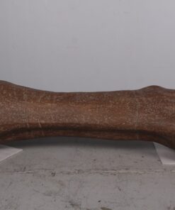 Titanosaur Femur | JR 180007