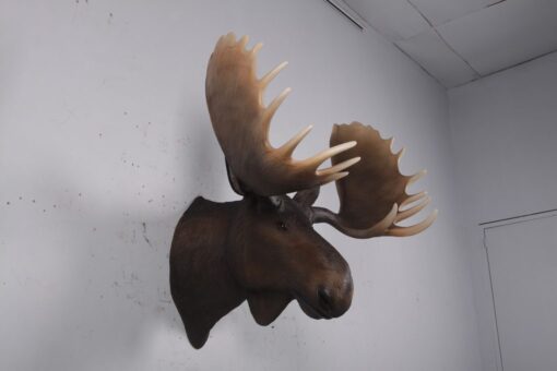 MOOSE HEAD JR 180023