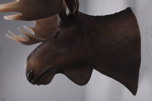 MOOSE HEAD JR 180023 - Image 12