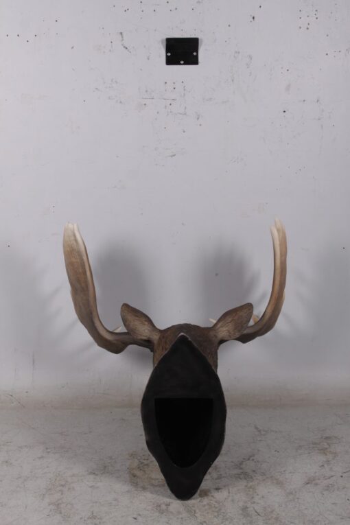 MOOSE HEAD JR 180023 - Image 11