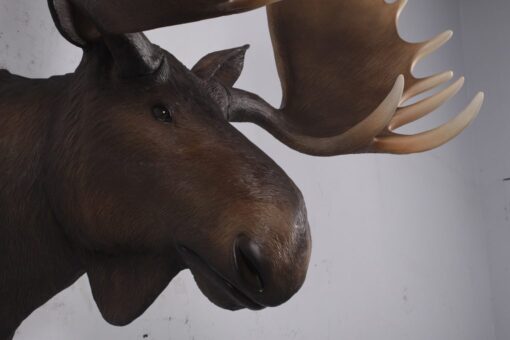 MOOSE HEAD JR 180023 - Image 8