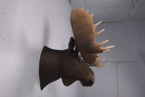 MOOSE HEAD JR 180023 - Image 7