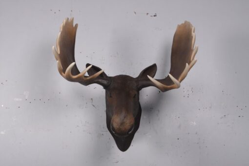 MOOSE HEAD JR 180023 - Image 6