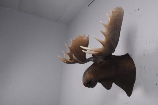 MOOSE HEAD JR 180023 - Image 4