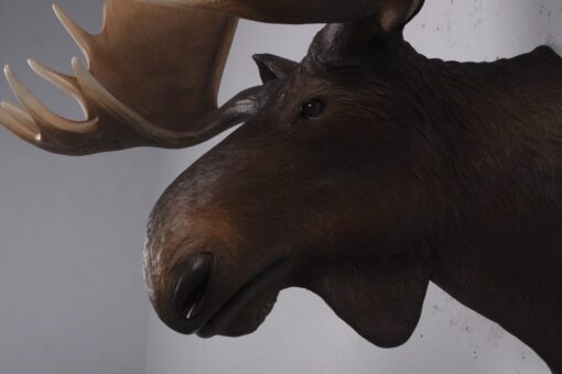 MOOSE HEAD JR 180023 - Image 3