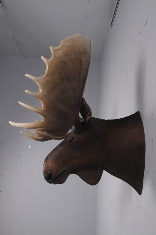 MOOSE HEAD JR 180023 - Image 2