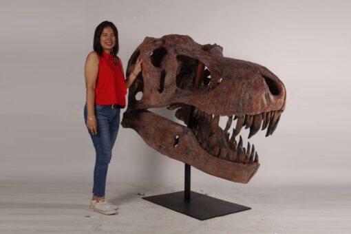 GIANT T-REX SKULL JR 180150