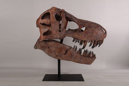 GIANT T-REX SKULL JR 180150 - Image 5