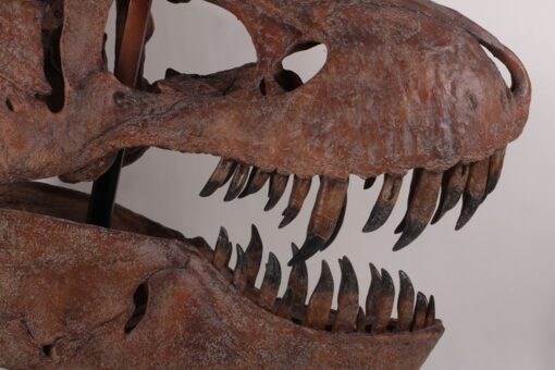 GIANT T-REX SKULL JR 180150 - Image 4