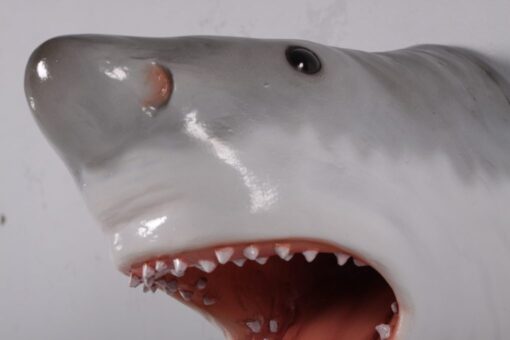 GREAT WHITE SHARK HEAD 11" JR 190033 - Image 6