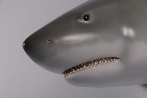 GREAT WHITE SHARK HEAD WALL DÉCOR JR 190168 - Image 6