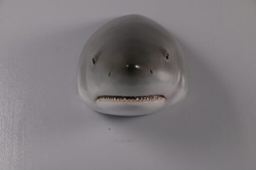 GREAT WHITE SHARK HEAD WALL DÉCOR JR 190168 - Image 3