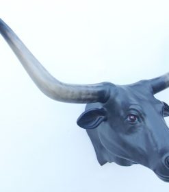 Alternative view of Black Bull Head with Long Horns | JR 2272