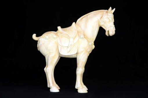 TERRACOTTA HORSE JR JV