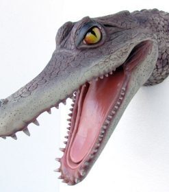 Alternative view of Alligator Head | JR 2331