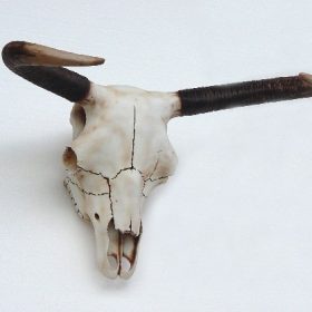 Bull Skull | JR 2155 - Image 2