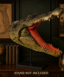 Crocodile Head Wall Décor | JR 110086