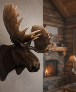 Moose Head | JR 180023