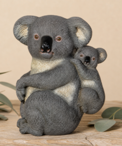 Koala | JR 080075
