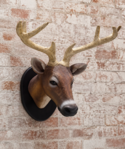 Deer Head | JR R-090