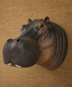 Hippopotamus Head  - JR 150262