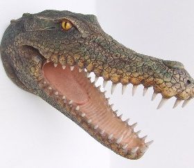 Crocodile Head | JR 2333 - Image 2