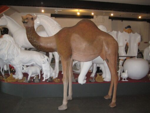 CAMEL DROMEDARY - FEMALE JR 130007