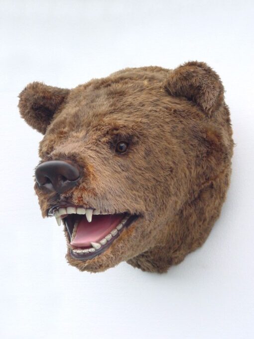 BEAR HEAD JR 2110