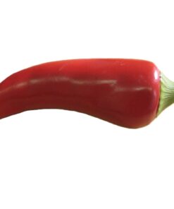 Red Chilli Pepper | JR 2685